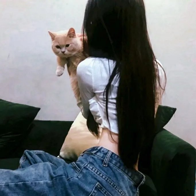 有组织的工作